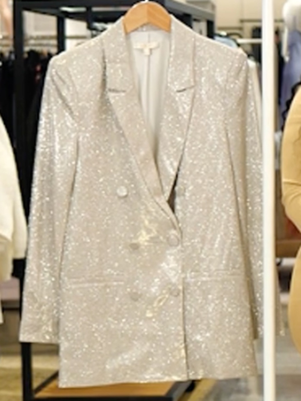 NWT Nordstrom WAYF Dream Metallic Silver Double-Breasted Fully Lined Blazer Sz M